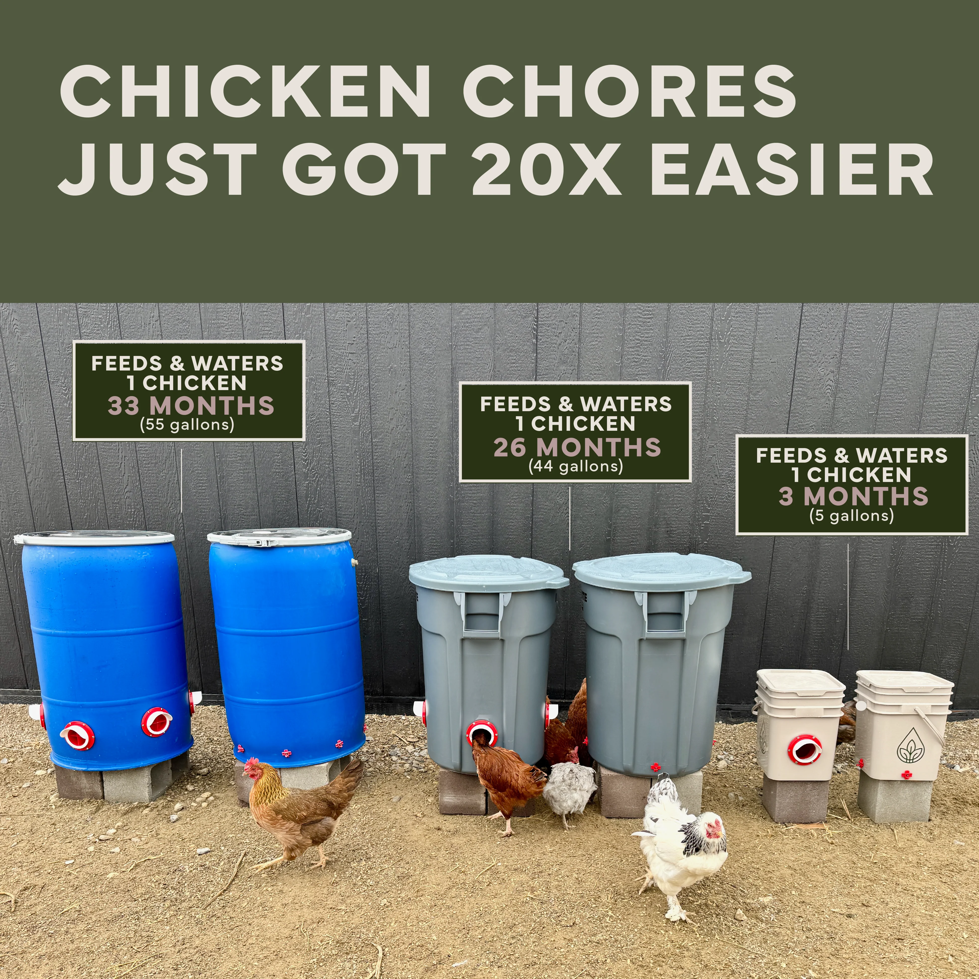 New Easy Chicken Feeder and Automatic Chicken Waterer Kits – Chicken Chores Just Got 20X Easier